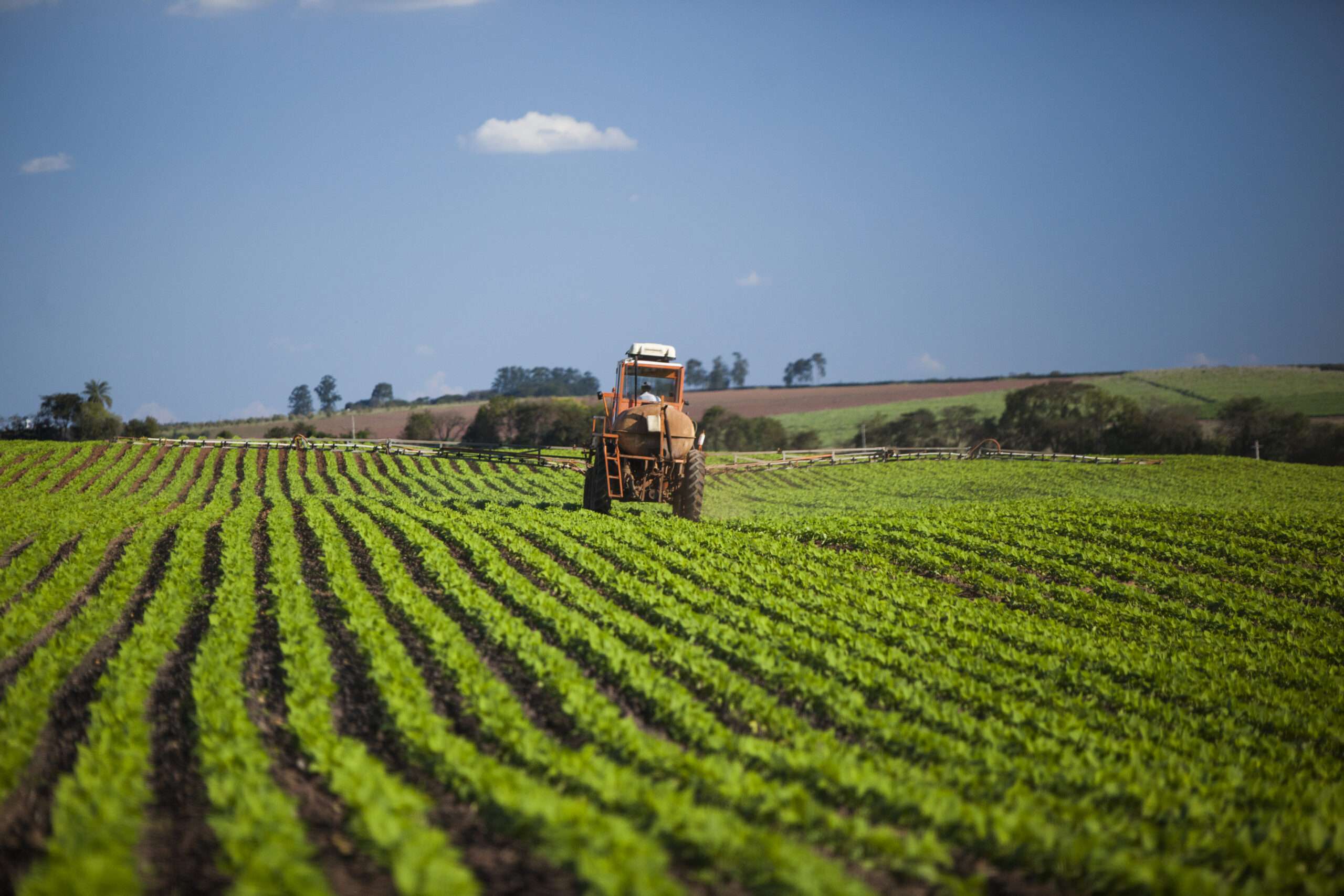 machine working at peanut field under a blue sky.